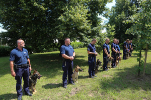 policjanci w szeregu czekają na wręczenie nagród