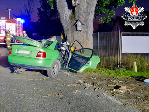 rozbite zielone audi o przydrożne drzewo