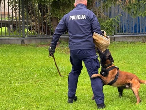 pies gryzący osłone na ręke policjanta podczas pokazu