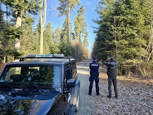 Dzielnicowy ze strażnikiem leśnym patrzą w kierunku lasu
