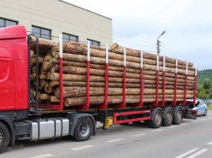 Samochód ciężarowy z kabiną koloru czerwonego z  naczepą załadowaną drzewem. Za samochodem stoi radiowóz Policyjny. W tle powyżej samochodu policyjnego widoczny dach budynku.