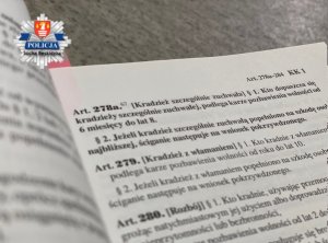 278a kradzież zuchwała